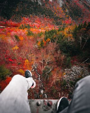 Image post by @z.clik on Instagram