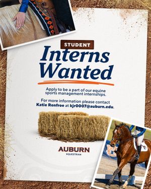 Image post by @auburnequestrian on Instagram