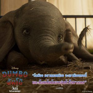 Image post by @disneystudiosth on Instagram