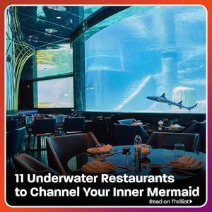 Image post by @thrillist on Instagram