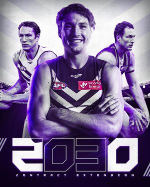 Image post by @freodockers on Instagram