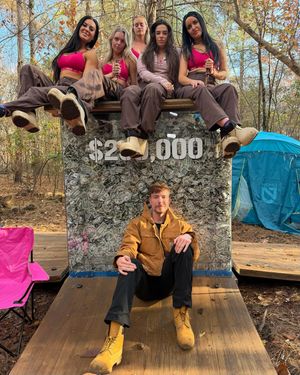 Image post by @mrbeast on Instagram