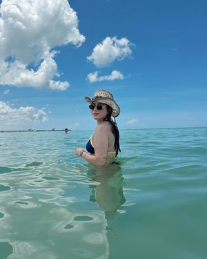Image post by @visitsarasotacounty on Instagram