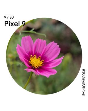 Image post by @googlepixel on Instagram