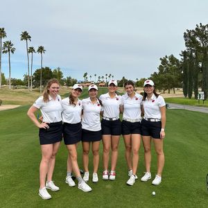 Image post by @badgerwgolf on Instagram