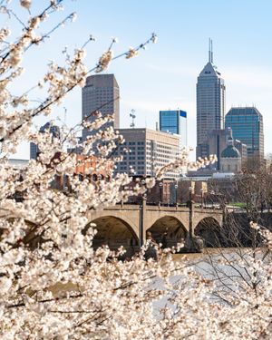 Image post by @downtownindy on Instagram