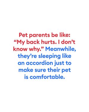 Image post by @petsmart on Instagram