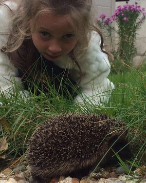 Image post by @rspb on Instagram