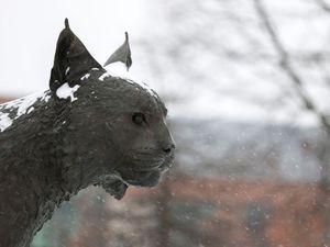 Image post by @universityofky on Instagram