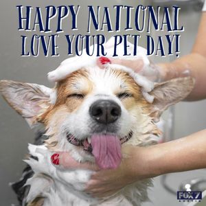 Image post by @fox7austin on Instagram