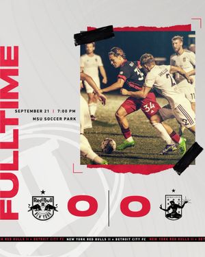 Image post by @NYRBII on Twitter