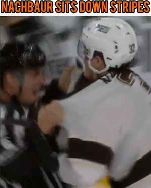 Image post by @hockeyfights on Instagram