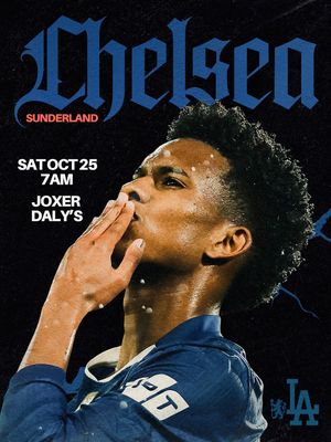 Image post by @lachelseablues on Instagram