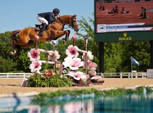 Image post by @kyhorseshows on Instagram