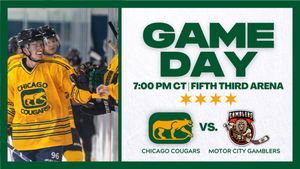 Image post by @ChiCougarsHky on Twitter