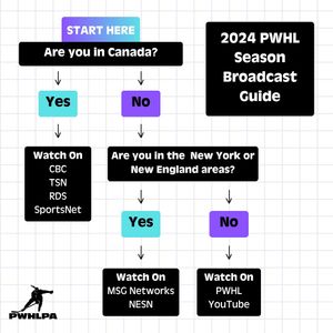 Image post by @pwhlpa on Instagram