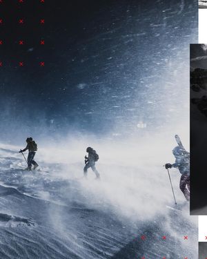 Image post by @echo_neutra on Instagram