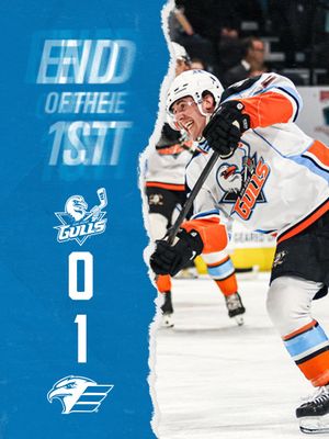 Image post by @SDGullsAHL on Twitter