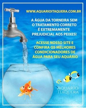 Image post by @aquarioitaquera on Instagram