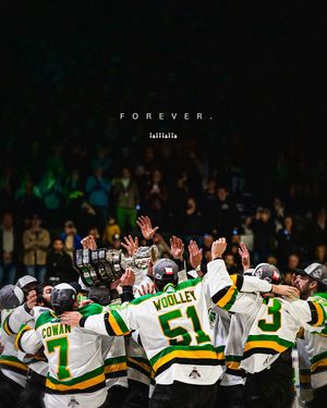 Image post by @londonknights on Instagram