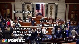 Video post by @msnbc on YouTube