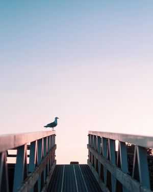 Image post by @jfriedrich on Instagram