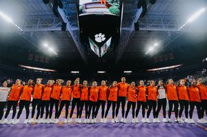 Image post by @lillylippeatt on Instagram