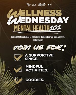 Image post by @ucf.mhp on Instagram