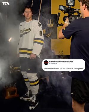 Image post by @everythingcollegehockey on Instagram
