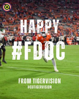 Image post by @cutigervision on Instagram