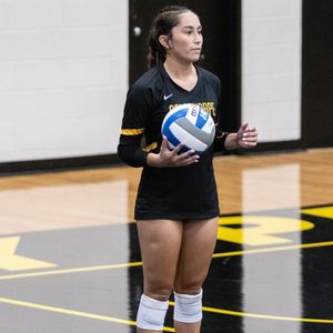 Image post by @gopetrelsvb on Instagram