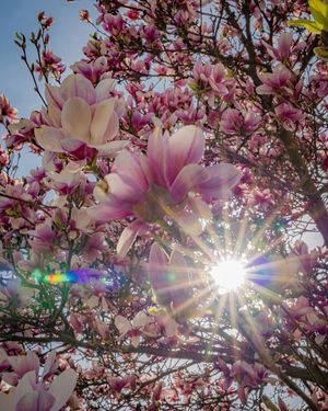 Image post by @cristan.nature.photography on Instagram
