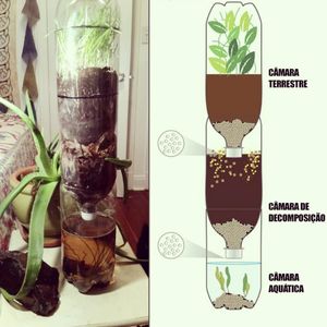 Image post by @operitoambiental on Instagram