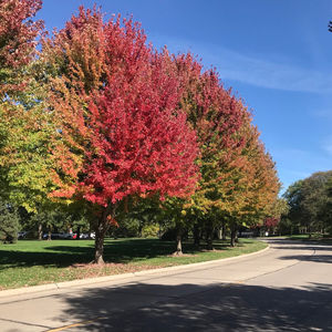Image post by @lincolnnebraskausa on Instagram