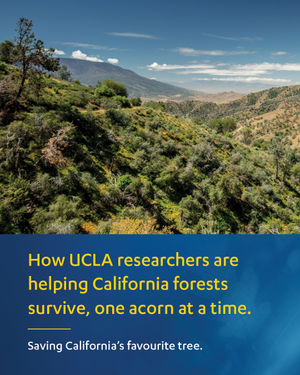 Image post by @ucla on Instagram