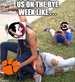Image post by @redcupgamecocks on Instagram