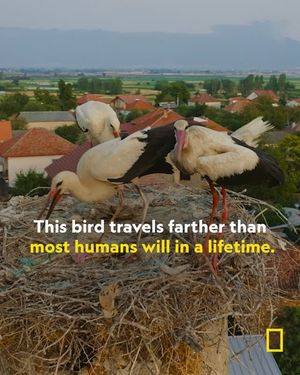 Image post by @natgeo on Instagram