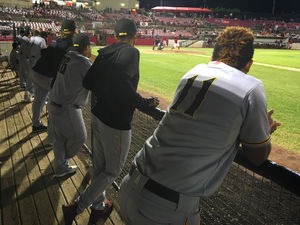 Image post by @sussexcountyminers on Instagram