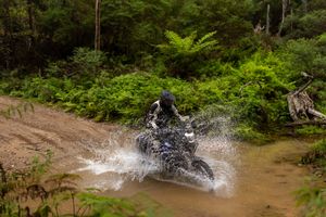 Image post by @yamahamotoraus on Instagram