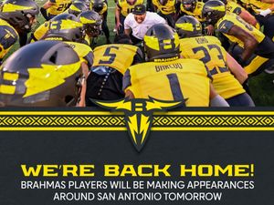 Image post by @uflbrahmas on Instagram