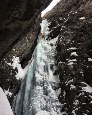 Image post by @nicogantz on Instagram
