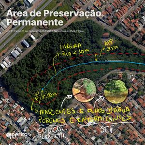 Image post by @operitoambiental on Instagram