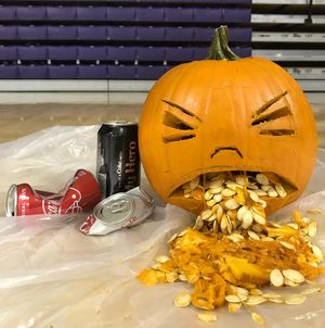 Image post by @highpointvb on Instagram