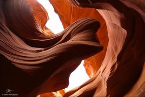 Image post by @canonusa on Instagram