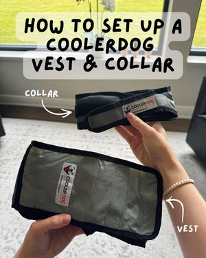 Image post by @coolerdogbrand on Instagram