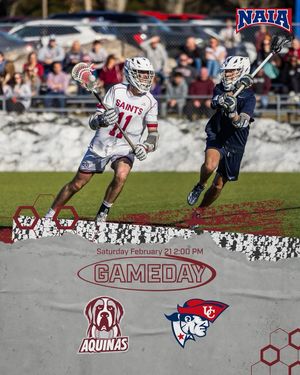 Image post by @aqmenslax on Instagram