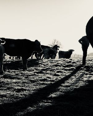 Image post by @txextension on Instagram