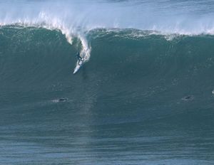 Image post by @beachcowboy_ on Instagram
