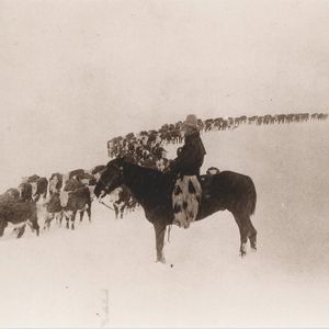 Image post by @nationalcowboymuseum on Instagram