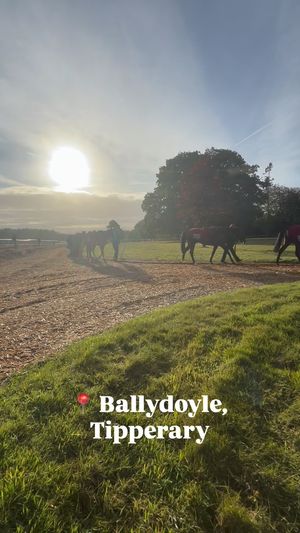 Video post by @thoroughbred_daily_news on Instagram